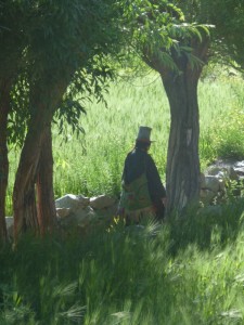 Woman in stove pipe hat, also Alchi