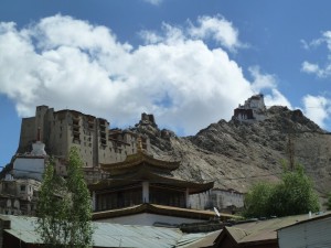 Under the castle, Leh 2013